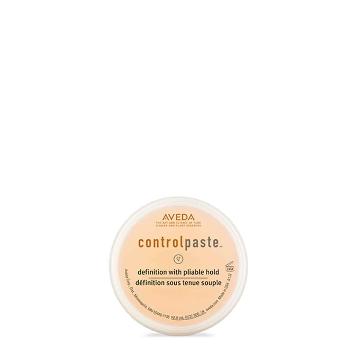 Control Paste